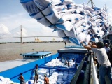 Giá gạo xuất khẩu của Việt Nam vẫn ở mức cao nhất thế giới