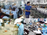 ADB: Nền kinh tế Việt Nam vẫn vững vàng và dự kiến sẽ phục hồi nhanh