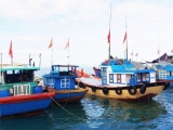 Ứng phó bão số 5, tỉnh Quảng Ninh cấm biển từ 15h ngày 19/10