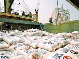 Việt Nam đã xuất khẩu hơn 7,1 triệu tấn gạo trong 10 tháng
