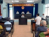 Phú Yên: Đất gia tộc để lại làm nơi thờ cúng, tòa án vẫn tuyên chia thừa kế