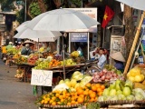 Hà Nội quyết tâm xoá sổ điểm kinh doanh trái cây trôi nổi trong năm 2024