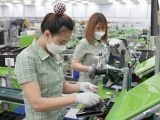 GDP của Việt Nam tăng trưởng 5,03% trong năm 2023