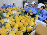 Việt Nam đặt mục tiêu xuất khẩu sản phẩm trồng trọt đạt trên 26 tỷ USD vào năm 2030