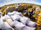 Việt Nam thu về gần 4,8 tỷ USD từ xuất khẩu gạo trong năm 2023