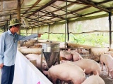 Các doanh nghiệp sẵn sàng cung ứng sản phẩm chăn nuôi phục vụ dịp Tết 2024