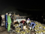 Thái Nguyên: Ngăn chặn kịp thời phương tiện vận chuyển hơn 1 tấn hoa quả nhập lậu