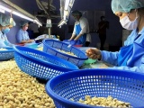 Doanh nghiệp Việt cần cẩn trọng khi xuất khẩu hàng hoá sang Tây Ban Nha