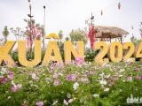 “Ngắm trước” đường hoa Home Hanoi Xuan 2024 trước “giờ G”
