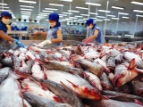 Việt Nam là nhà cung cấp cá thịt trắng lớn thứ 2 cho thị trường Mỹ