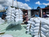 Gạo Việt và cơ hội xuất khẩu sang thị trường Indonesia