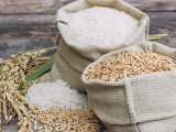 Gạo Việt Nam còn nhiều tiềm năng tại thị trường Canada