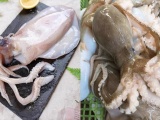 Hàn Quốc là thị trường lớn nhất của mực, bạch tuộc Việt Nam