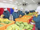 Việt Nam còn nhiều tiềm năng xuất khẩu rau quả sang thị trường ASEAN