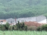 Thanh Hóa: Tự ý xây dựng khi chưa được thuê đất, Công ty Thuận Thành Phát bị phạt vì… chuyển đổi mục đích sử dụng đất