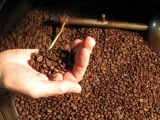 Doanh nghiệp chế biến lao đao khi giá cà phê liên tục tăng mạnh
