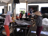 Việt Nam đã xuất khẩu cá ngừ sang 80 thị trường nước ngoài