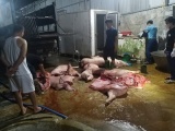 Thái Nguyên: Thu giữ hơn 1 tấn thịt nhiễm dịch tả lợn Châu Phi 