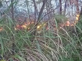 Hai cán bộ kiểm lâm tử nạn khi dập lửa trên dãy Tây Côn Lĩnh