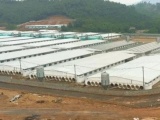 Thanh Hoá: Huyện Lang Chánh ra “tối hậu thư” cho doanh nghiệp chăn nuôi lợn gây phát tán mùi hôi