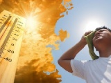 Sốc nhiệt do nắng nóng: Dấu hiệu nhận biết và cách xử trí
