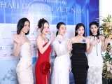 Ấn tượng vòng sơ khảo cuộc thi Hoa hậu Du lịch Việt Nam 2024 tại khu vực miền Nam