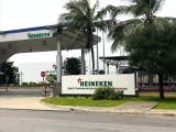Heineken tạm dừng hoạt động nhà máy bia tại Quảng Nam