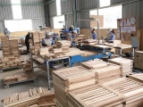Việt Nam thu về gần 8 tỷ USD từ xuất khẩu gỗ và lâm sản