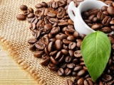 CHLB Đức là thị trường xuất khẩu cà phê lớn nhất của Việt Nam