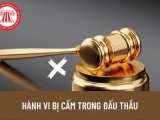 Yên Định, Thanh Hóa: Cấm thầu Cty TNHH Thương mại và Xây dựng Tiến Sơn