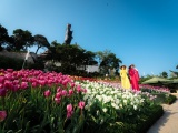 Trưng bày hơn 115.000 gốc hoa tulip và tổ chức nhiều hoạt động hấp dẫn trong Hội xuân núi Bà