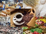 Bộ Nông nghiệp và Môi trường nêu 5 giải pháp để duy trì đà tăng trưởng bền vững