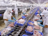 EU sẽ kiểm soát asen vô cơ với thủy sản, doanh nghiệp Việt cần chủ động ứng phó