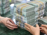 Hộ, cá nhân kinh doanh nộp gần 26.000 tỷ đồng tiền thuế trong năm 2024