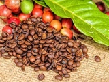 Xuất khẩu cà phê liên tục khởi sắc, hướng tới kỷ lục 8 tỷ USD