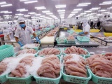 VASEP đề xuất phương án đàm phán với Mỹ về giảm thuế các mặt hàng thủy sản