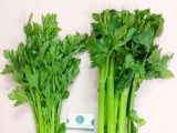 Rau cần tây ăn 2 lần/tuần giúp dưỡng gan, thải độc tốt