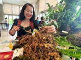 Phát triển 'thủ phủ sâm Ngọc Linh' thành trung tâm công nghiệp dược liệu