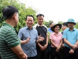 Tăng cường liên kết '3 nhà': Thu hoạch vải thiều dự kiến tăng 30% trong niên vụ 2025