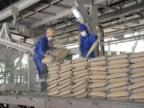 Chính phủ đồng ý giảm thuế xuất khẩu clanhke xi măng xuống 5%