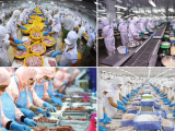 Việt Nam thu về hơn 4 tỷ USD từ xuất khẩu thủy sản trong 5 tháng qua