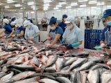 Hoa Kỳ ban hành kết luận thuế chống bán phá giá cá tra - basa phi lê đông lạnh Việt Nam