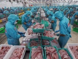 Xuất khẩu thủy sản chững lại, đối mặt nhiều rủi ro khó lường