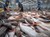 Doanh nghiệp xuất khẩu cần chủ động thích ứng, nâng cao năng lực phòng vệ