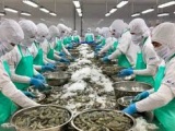 Việt Nam trở thành đối tác xuất khẩu thuỷ sản lớn thứ 3 của Singapore