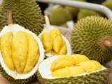 Ban hành quy trình kiểm soát an toàn thực phẩm với sầu riêng xuất khẩu