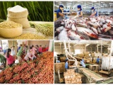 Xuất khẩu nông lâm thủy sản liên tục khởi sắc, hướng tới mục tiêu 100 tỷ USD