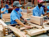 Ngành gỗ Việt Nam với bài toán tự chủ nguyên liệu