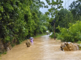 Thanh Hóa: Nhiều nơi ngập sâu, tăng mức báo động trên các sông lớn