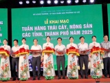 Tuần hàng trái cây, nông sản 2025: Cơ hội quảng bá, kết nối sản phẩm OCOP vùng miền